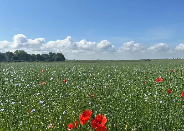 L 'evasion Marine * Petit-Caux